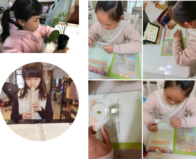 3f5c74458d2645daab757171ad21ed73.png