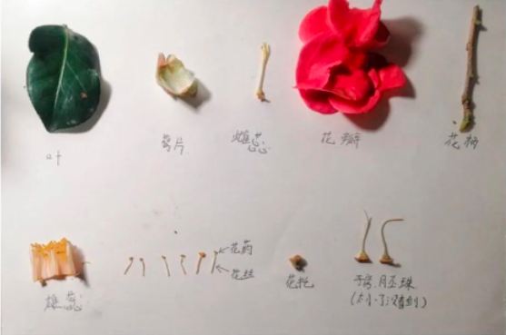 6b380a99a1564abfaf9687f315f4a342.png